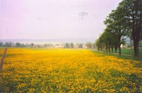 rechts Greifendorfer Straße - Bildmitte Brennerei.JPG